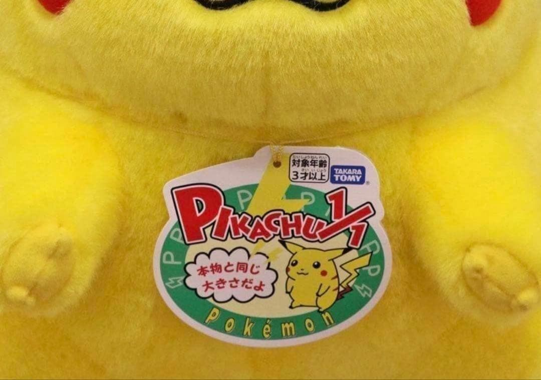 2個セット ポケットモンスター ポケモン30周年記念 おかえり！ピカチュウ