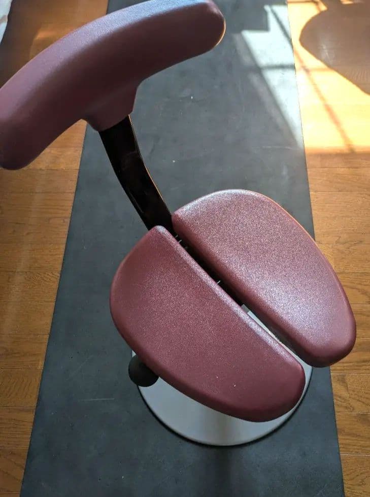 アーユルチェア　ジャンク ayur chair