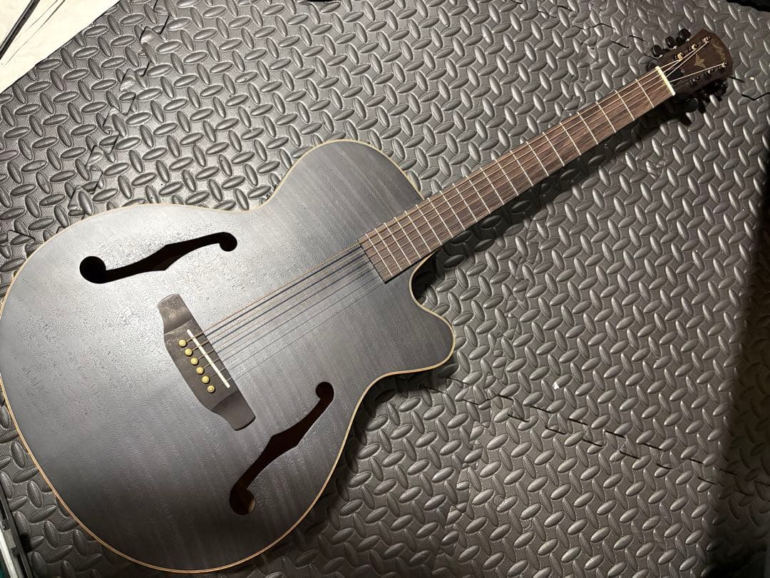 【極美品】Aria エレアコ FET-F2 Black &Ibanezギグバッグ